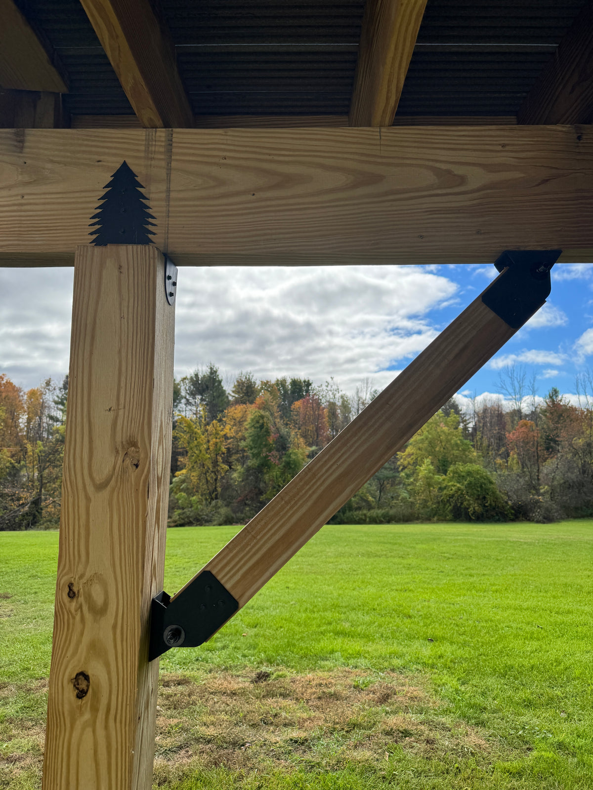EZ Brace - Matte Black
